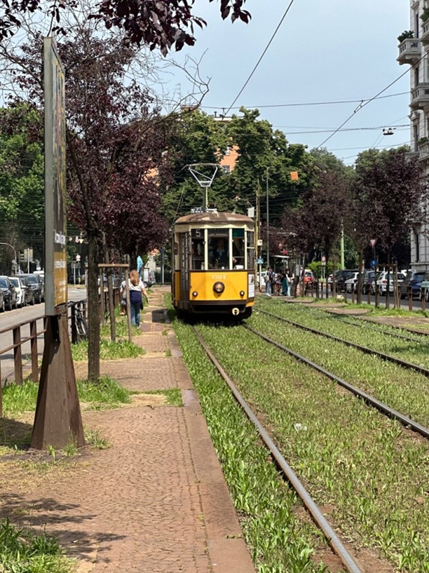 City Trolley